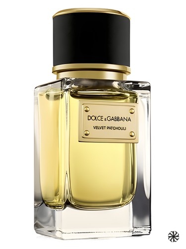 Velvet Patchouli Dolce&Gabbana