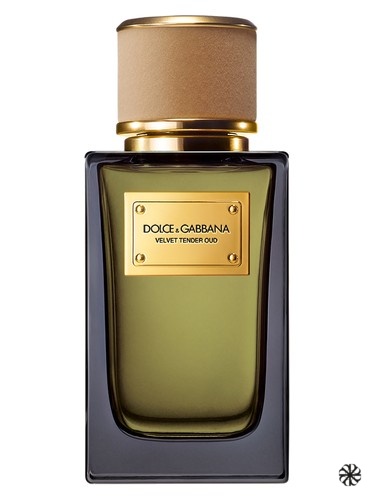 Velvet Tender Oud Dolce&Gabbana