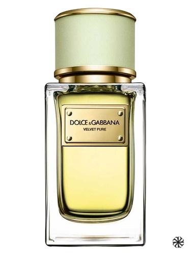 Velvet Pure Dolce&Gabbana