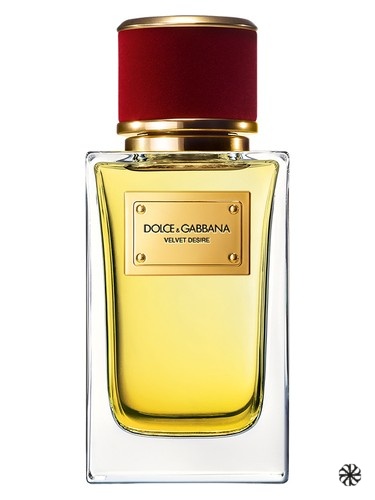Velvet Desire Dolce&Gabbana
