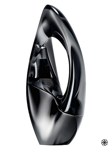 Woman Donna Karan