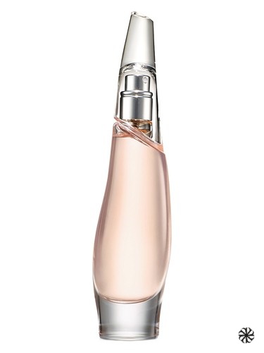 Liquid Cashmere Blush Donna Karan