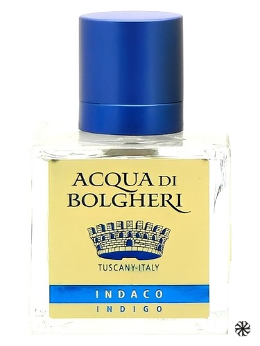Indaco Dr. Taffi