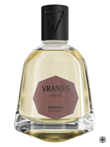 Intrigo Dr. Vranjes Firenze