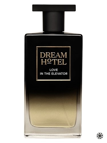 Love In The Elevator Dream Hotel