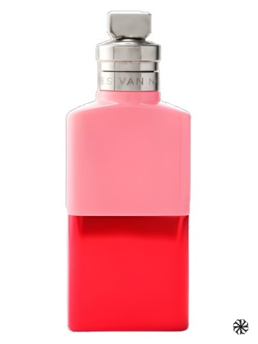 Raving Rose Dries Van Noten