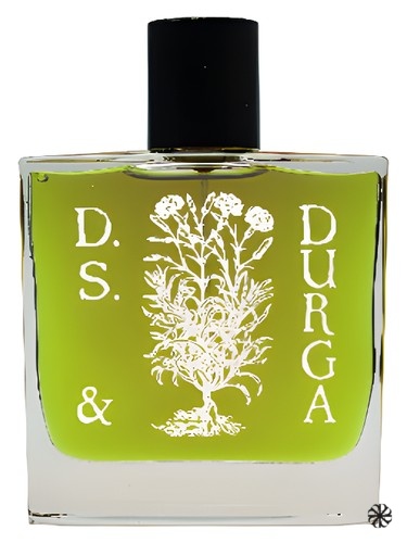 Boston Ivy DS&Durga