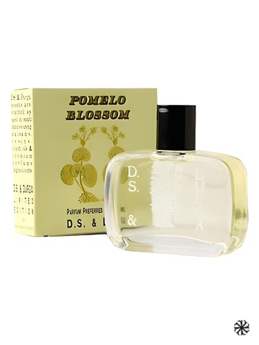 Pomelo Blossom DS&Durga