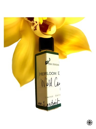 Wild Coyote DSH Perfumes