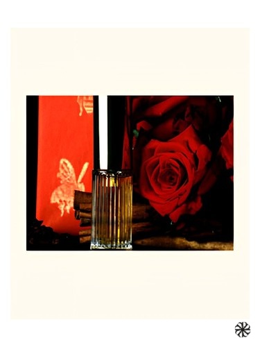 Poivre DSH Perfumes