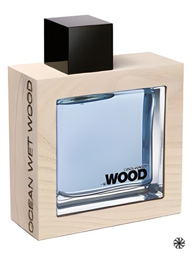 He Wood Ocean Wet Wood DSQUARED²