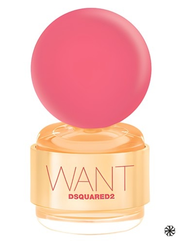 Want Pink Ginger DSQUARED²