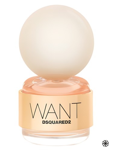 Want DSQUARED²