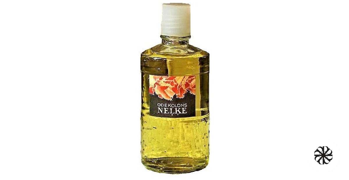 Neļķe (Гвоздика) Dzintars