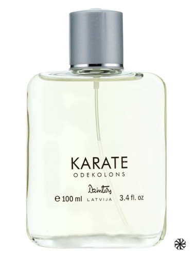 Karate Dzintars