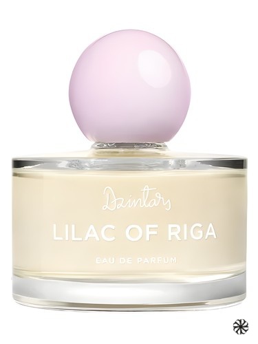 Lilac of Riga (Рижская Сирень, 2022) Dzintars