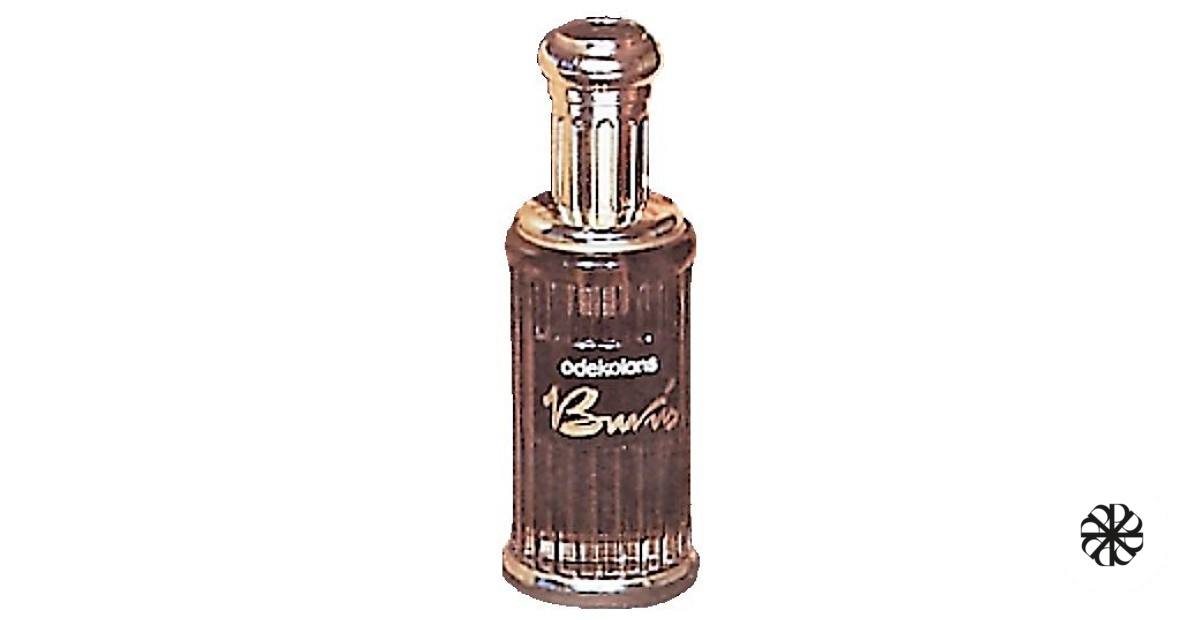 Burvis (Diviner) Dzintars