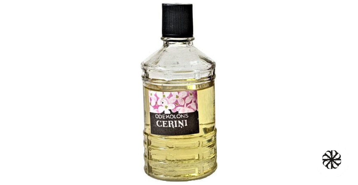 Cēriņi (Сирень) Dzintars