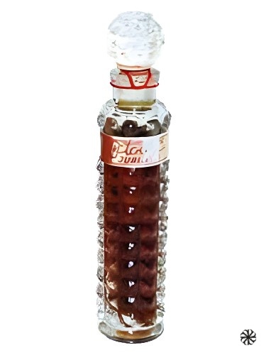 Oktobra jubileja (Юбилей Октября) Dzintars