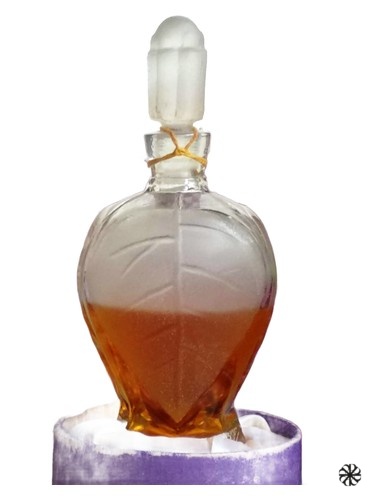 Rīgas cēriņi (Рижская сирень) Dzintars
