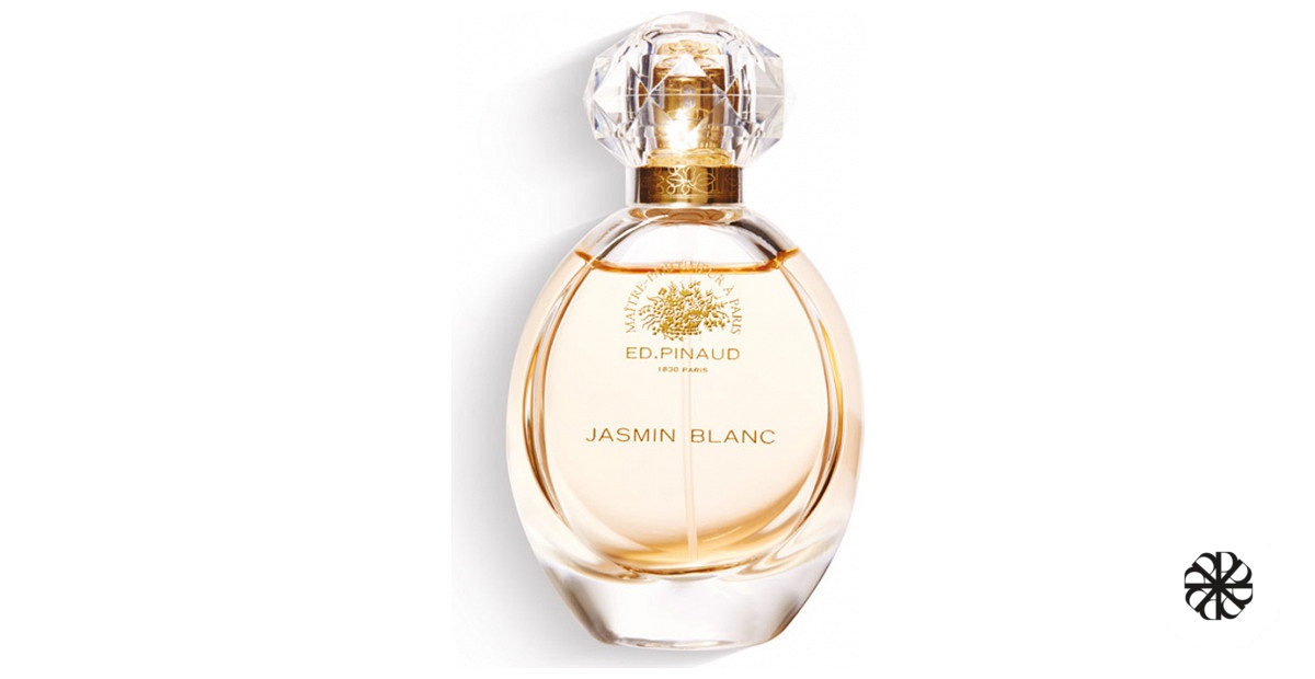 Jasmin Blanc Ed Pinaud