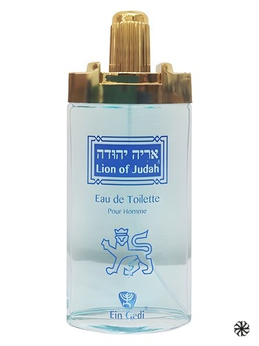 Lion of Judah Ein Gedi