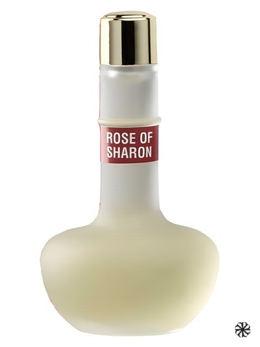 Rose of Sharon Ein Gedi