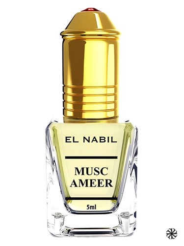 Musk Ameer El Nabil