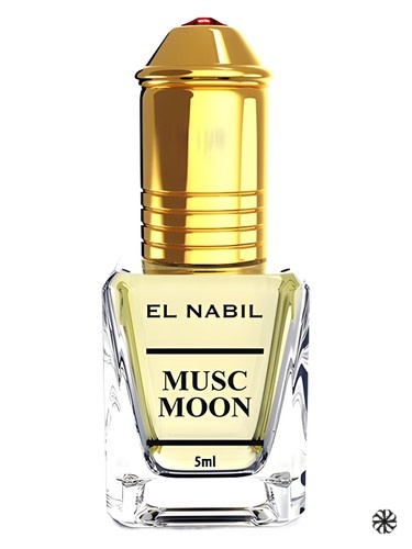 Musk Moon El Nabil