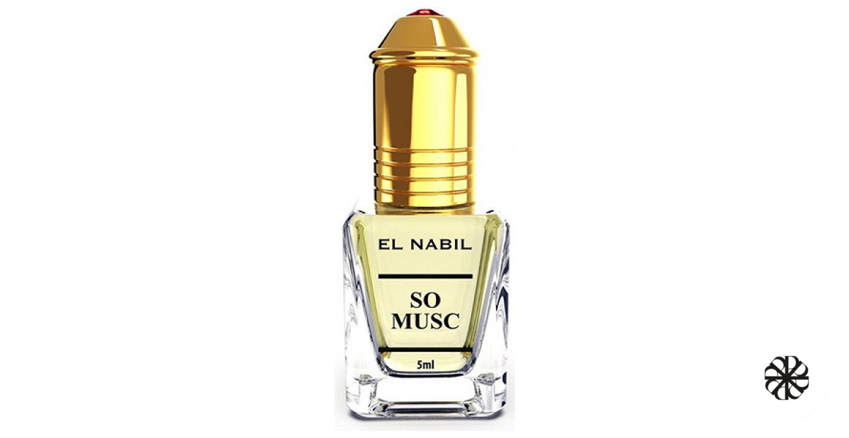 So Musk El Nabil