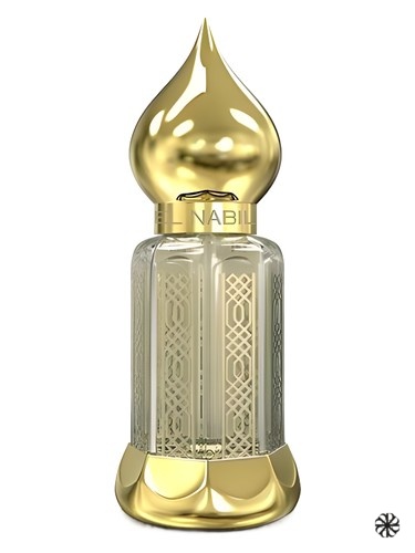 Musk Anass El Nabil
