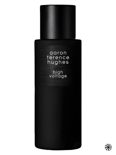High Voltage Aaron Terence Hughes