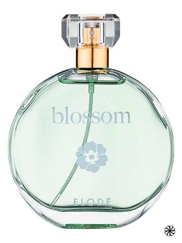 Blossom Elode
