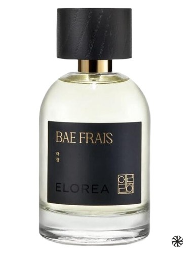 BAE FRAIS (아람) ELOREA | 향수