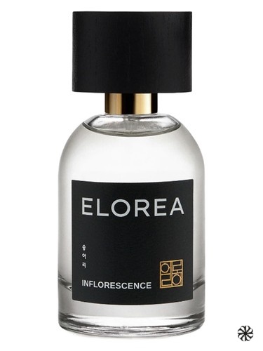 INFLORESCENCE (송아리) ELOREA | 향수