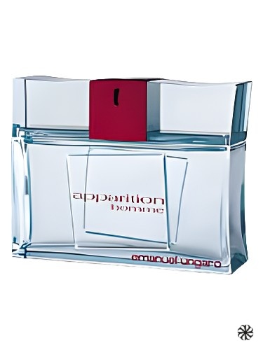 Apparition Homme Emanuel Ungaro