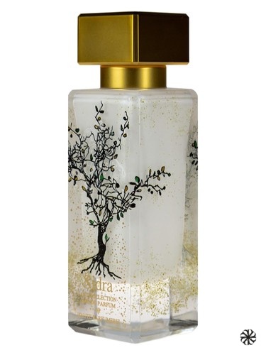Sidra Al-Jazeera Perfumes