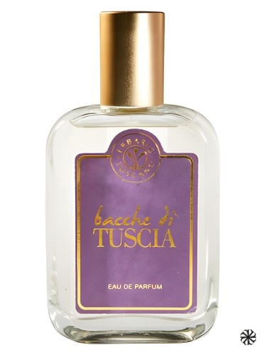 Bacche di Tuscia Erbario Toscano