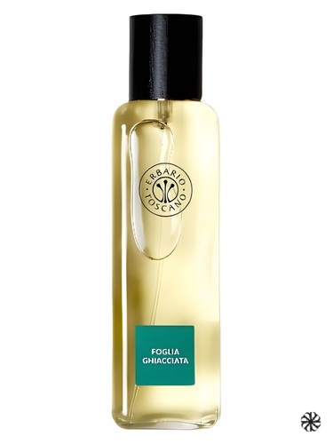 Foglia Ghiacciata Erbario Toscano