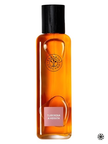 Tuberosa Ambrata Erbario Toscano