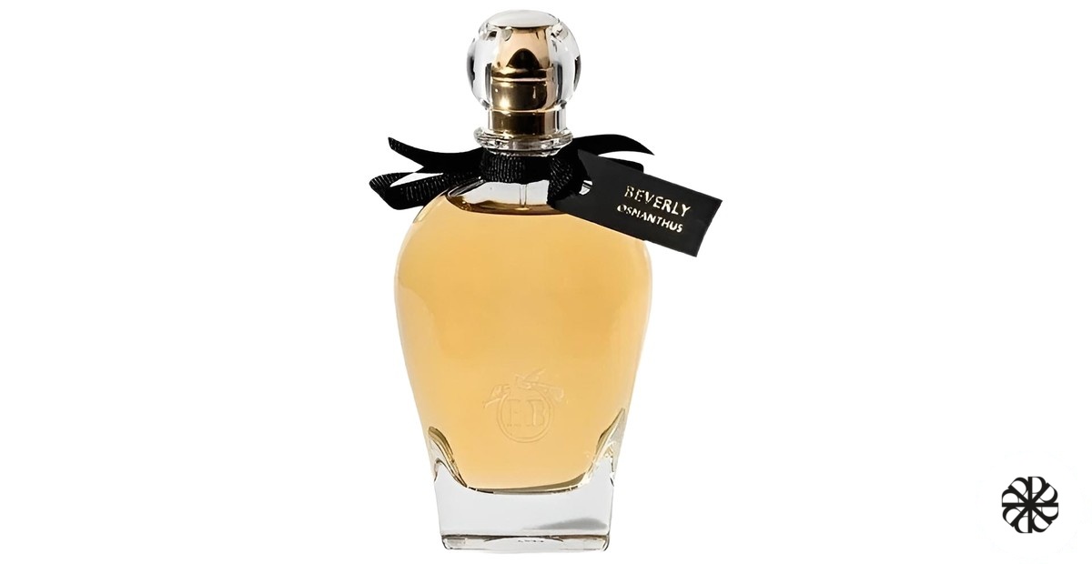 Beverly Osmanthus Eric Buterbaugh Florals