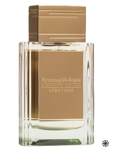 Strength Ermenegildo Zegna