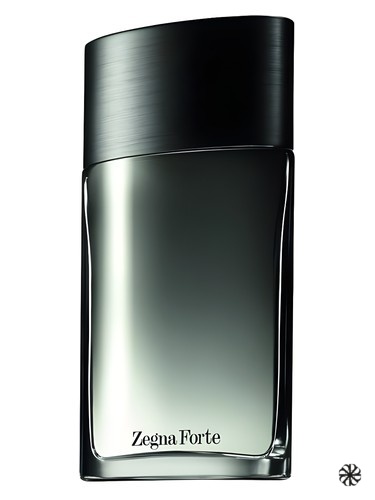 Zegna Forte Ermenegildo Zegna