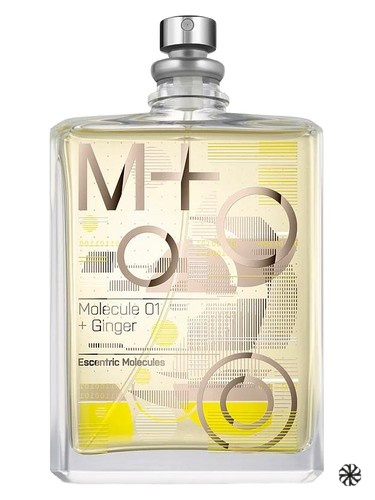 Molecule 01 + Ginger Escentric Molecules