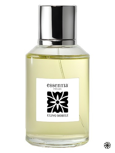 Ulivo Nobile Essentia Puglia