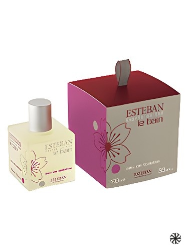 Esprit de Thé Esteban