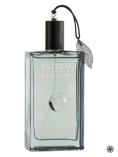 Songe de Yuzu Esteban