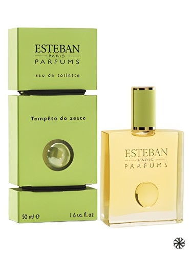 Tempete de Zeste Esteban