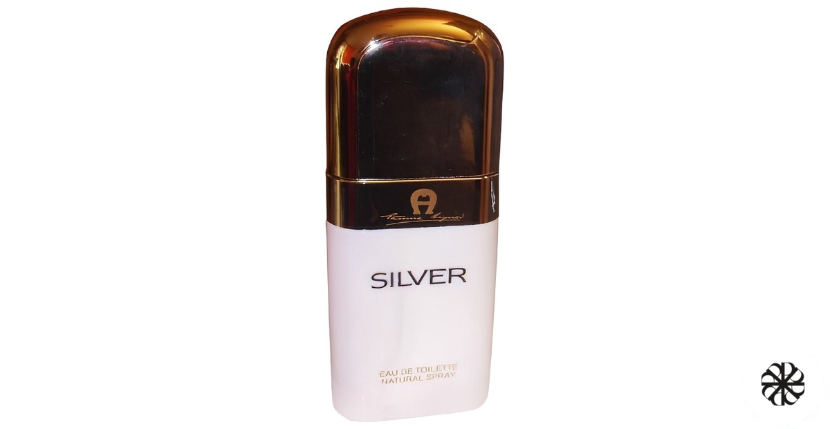 Silver Etienne Aigner