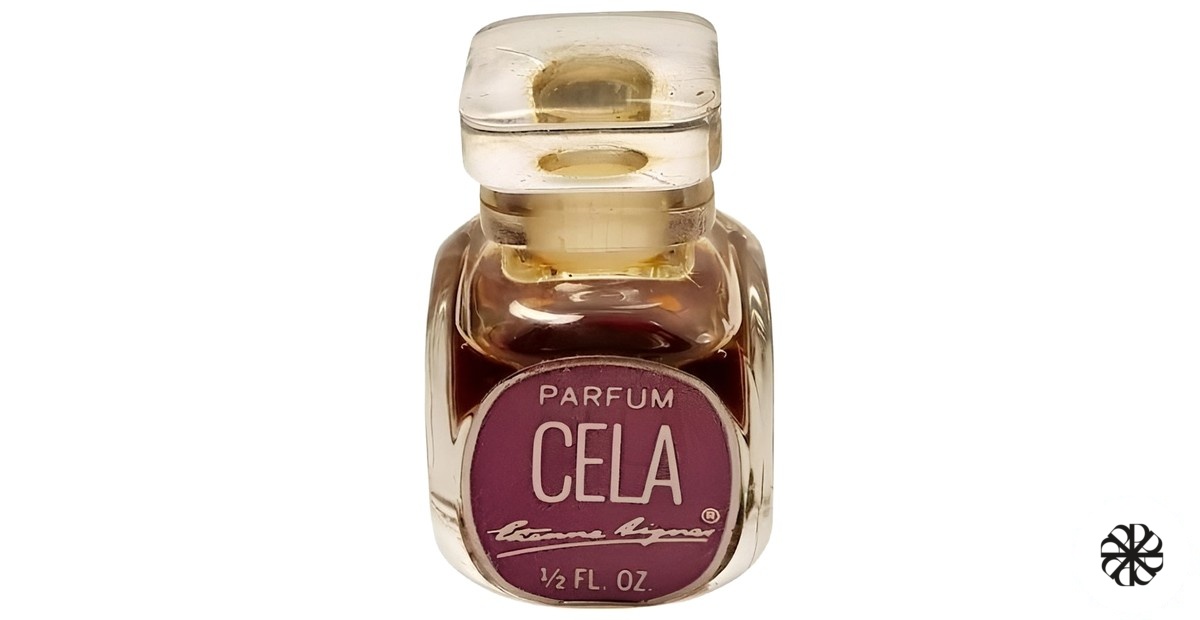 Cela Etienne Aigner
